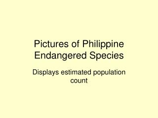 Pictures of Philippine Endangered Species