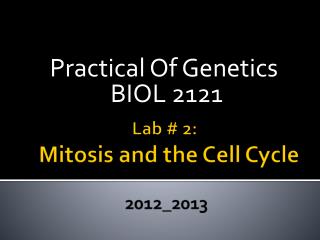 Lab # 2: Mitosis and the Cell Cycle 2012_2013