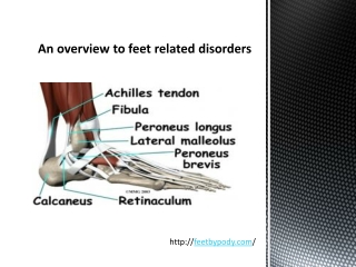 An overview to feet related disorders