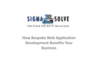 How Bespoke Web Application Development Benefits Your Busine