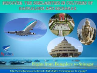 Cheapest Flight Tickets from Bangalore to Srinagar