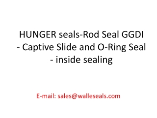 HUNGER seals-Rod Seal GGDI - Captive Slide and O-Ring Seal -