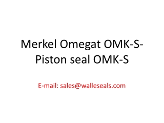 Merkel Omegat OMK-S- Piston seal OMK-S