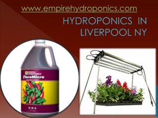 Hydroponics in liverpool ny