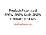 ProductsPiston seal SPGW-SPGW Seals-SPGW HYDRAULIC SEALS