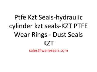 Ptfe Kzt Seals-hydraulic cylinder kzt seals-KZT PTFE Wear Ri