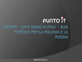 PuntoIT - 100% Made In Italy B2B Portale