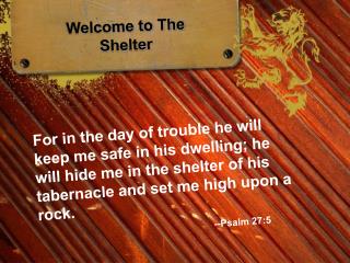 Welcome to The Shelter