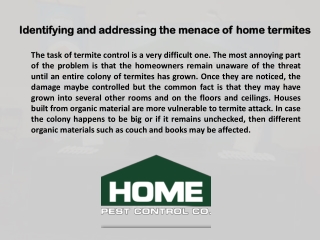 Identifying and addressing the menace of home termites