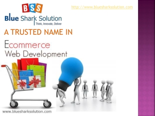 Blue Shark Solution – A trusted name in Ecommerce web develo