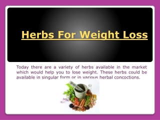Natural Herbs For Weight Loss