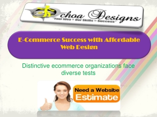 E-Commerce Success with Affordable Web Design