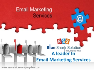 Blue Shark Solution – A leader in email marketing services
