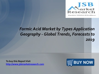 Formic Acid Market