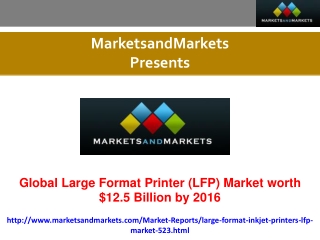 Large Format Printer (LFP) Market Research Report.