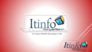 Custom Website Developer in USA