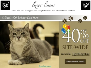 Luxor Linens Reviews- TigerBDayHunt Sale