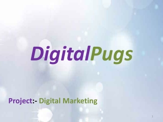 Digital Marketing Plans - DigitalPugs