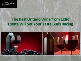 The Best Ontario Wine from Colio Estate Will Set Your Taste Buds Racing