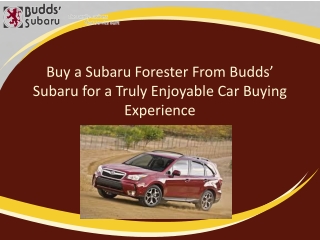 Buy a Subaru Forester from Budds’ Subaru for a Truly Enjoyable Car Buying Experience