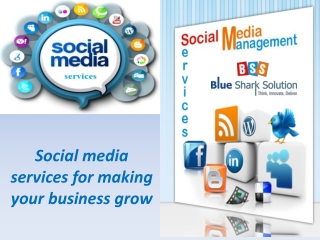 Social media services for making your business grow: