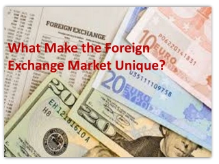 What Make the Foreign Exchange Market Unique?