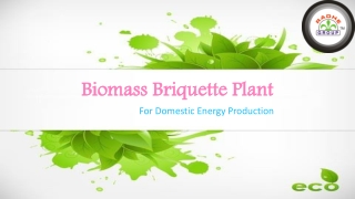 Biomass Briquette Plant for Domestic Energy Production