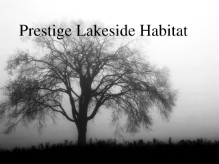 Prestige Lakeside Habitat