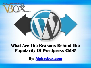 What Are The Reasons Behind The Popularity Of Wordpress CMS?