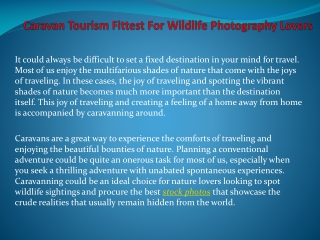 Caravan Tourism Fittest For Wildlife Photography Lovers