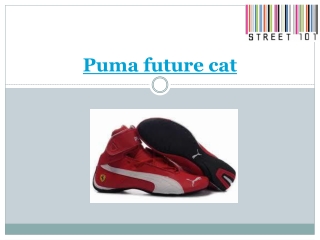 Puma future cat