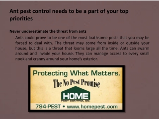 Ant pest control needs to be a part of your top priorities