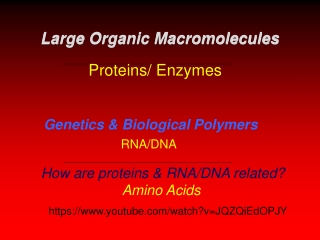 Genetics & Biological Polymers RNA/DNA