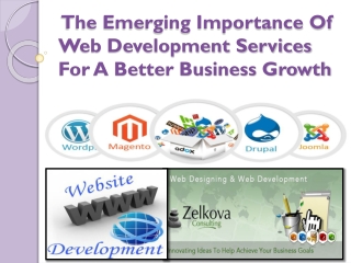Importance Of Web Development Services For A Better Business