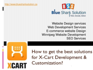 the best solutions for X-Cart Development & Customization
