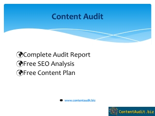 Content Audit