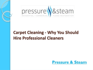 Carpet Cleaning - Why You Should Hire Professional Cleaners