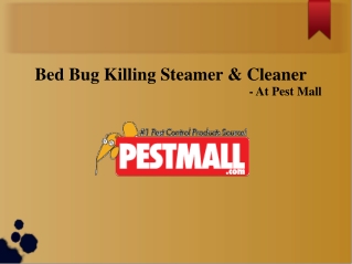 Bed Bug Killing Steamer