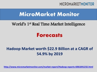 Global Hadoop Market by 2019