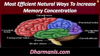 Most Efficient Natural Ways To Increase Memory Concentration