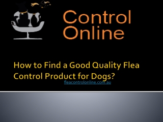 How to Find a Good Quality Flea Control Product for Dogs