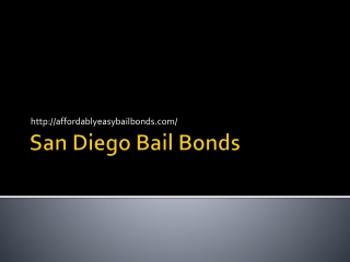 Bail Bond Company