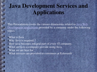 java web services development-Esferasoft