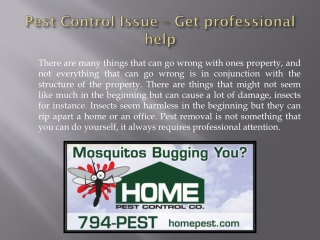 Pest Control Issue