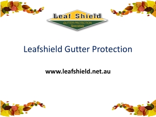 Leaf Gutter Guard Protection Service in Sydney