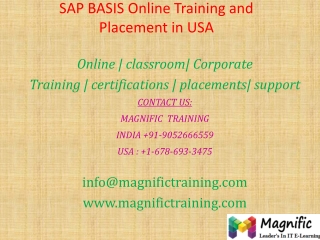 SAP BASIS Online Training and Placement in USA
