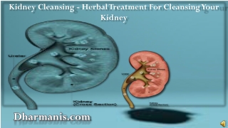 Kidney Cleansing - Herbal Treatment For Cleansing Your Kidne