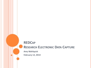 REDCap Research Electronic Data Capture
