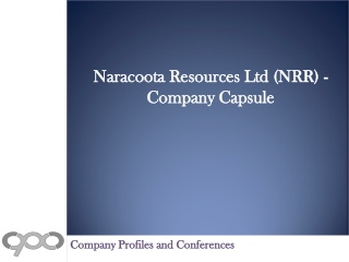 Naracoota Resources Ltd (NRR) - Company Capsule