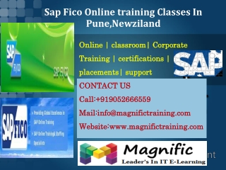 Sap Fico Online training Classes In Pune,Newziland